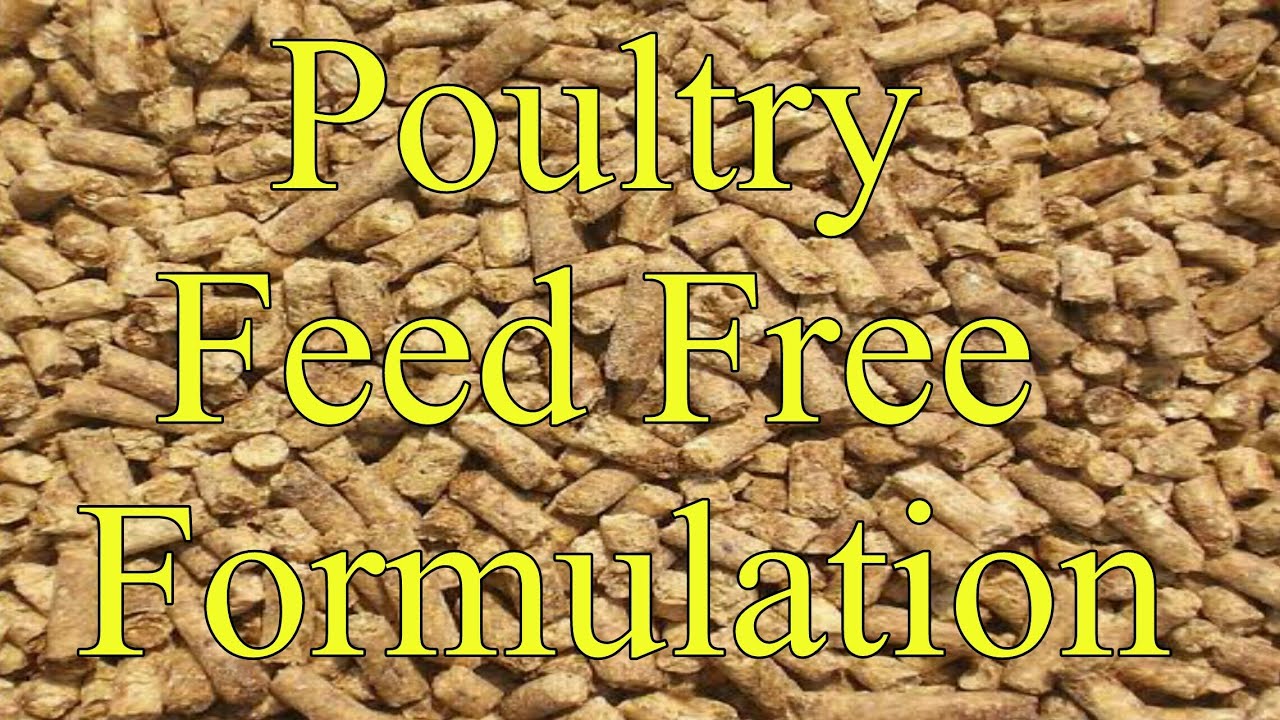 poultry feed formulation pdf